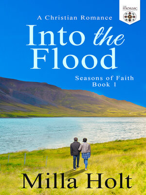 cover image of Into the Flood